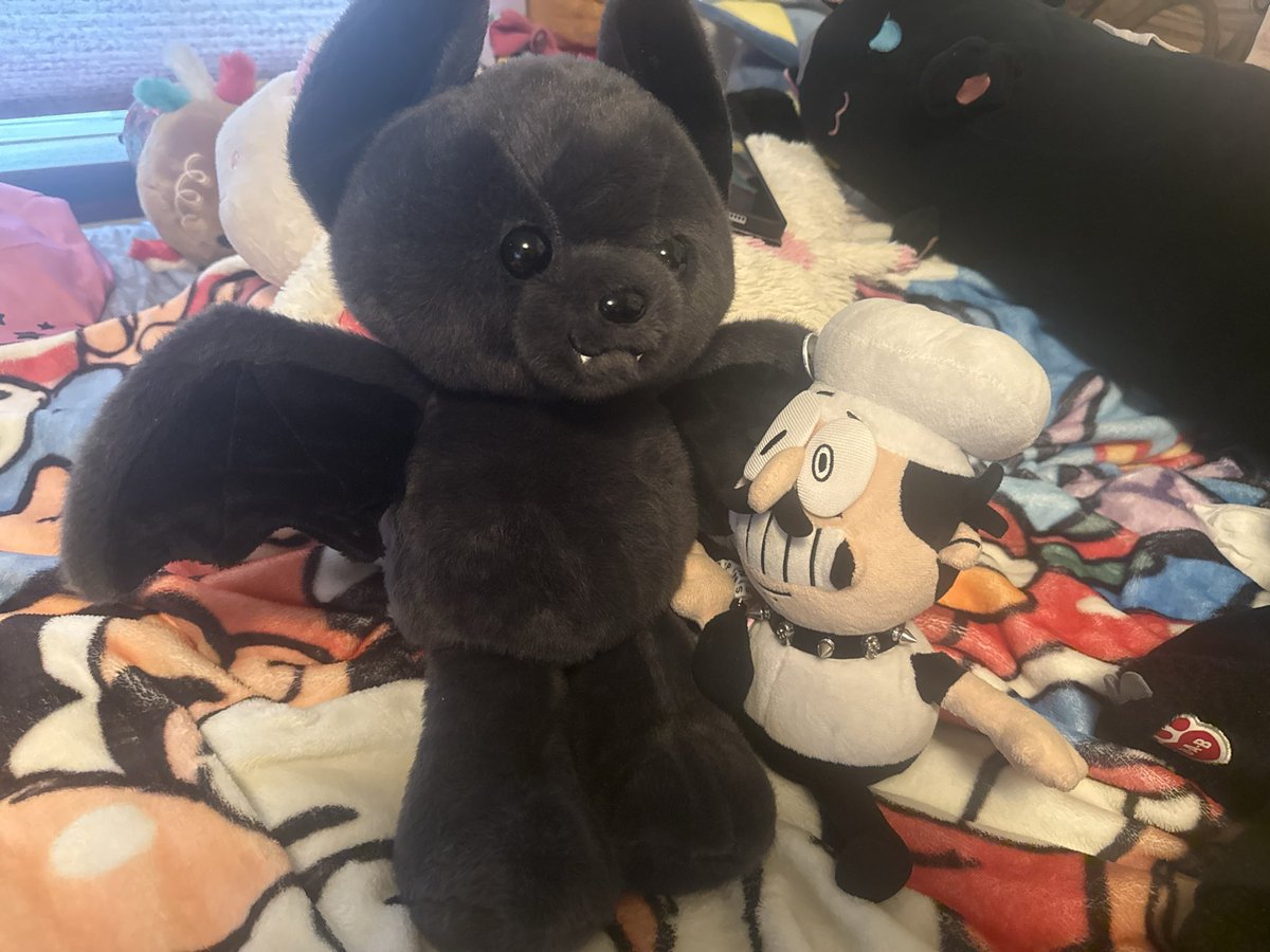Foxys_PlushyDen's tweet photo. Everyone give a warm welcome to Count Echo Noir!! https://t.co/KwrgtrCr0o