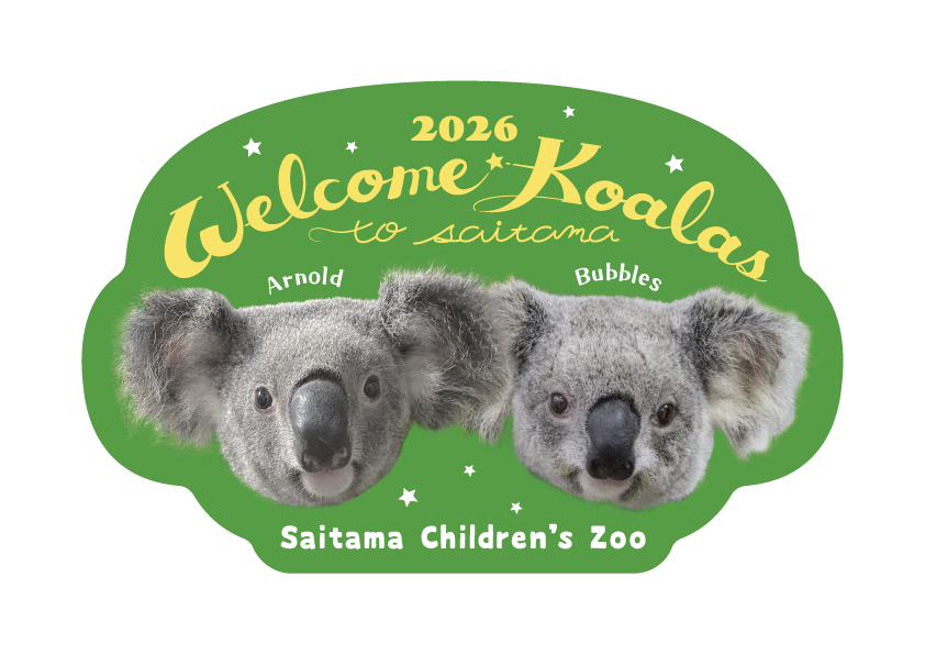 saitamazoo_tw's tweet photo. コアラ HAPPY 40th ANNIVERSARY！
8月22日 土曜日の10:30から、7月23日にオーストラリアから来園したコアラの一般公開が始まります

詳しくはHPをご覧ください
コアラ来園40周年記念 オーストラリアから新たにコアラ2頭がやってきた
https://t.co/qxG5ZBYacD
イベントページ
https://t.co/fIsG0uHopa https://t.co/CzM1h2u90a