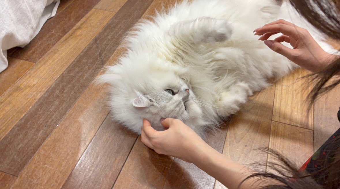 roraarchive's tweet photo. [WEVERSE POST] 20260820 (1/3)

“🌺🎞️📷”

#RORA #로라 #BABYMONSTER https://t.co/5pOn4HlwZ6