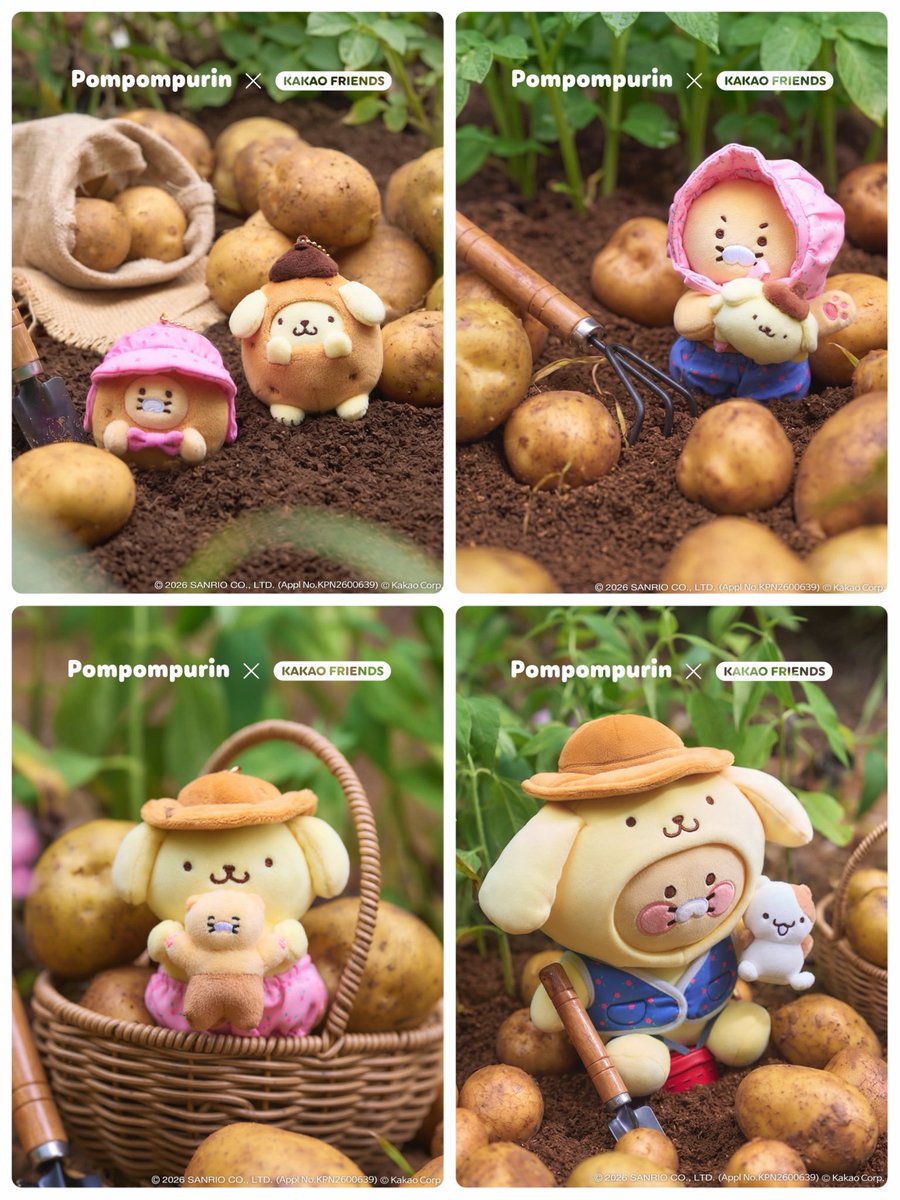 ポムポムプリンカカオフレンズコラボ　ぬいぐるみ　キーホルダー Sanrio fan info JP 🎀 on X: 