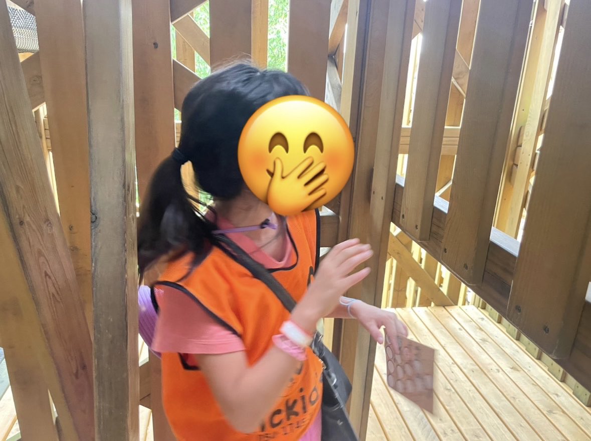 Lickids_Event's tweet photo. 【アスレチックキャンプ🌳
1-1】
モビリティリゾートもてぎ到着しております✨️
みんなくぐって！よけて！

ゴールに向かって協力しながら頑張っております💪 https://t.co/9NBEn1dfAg