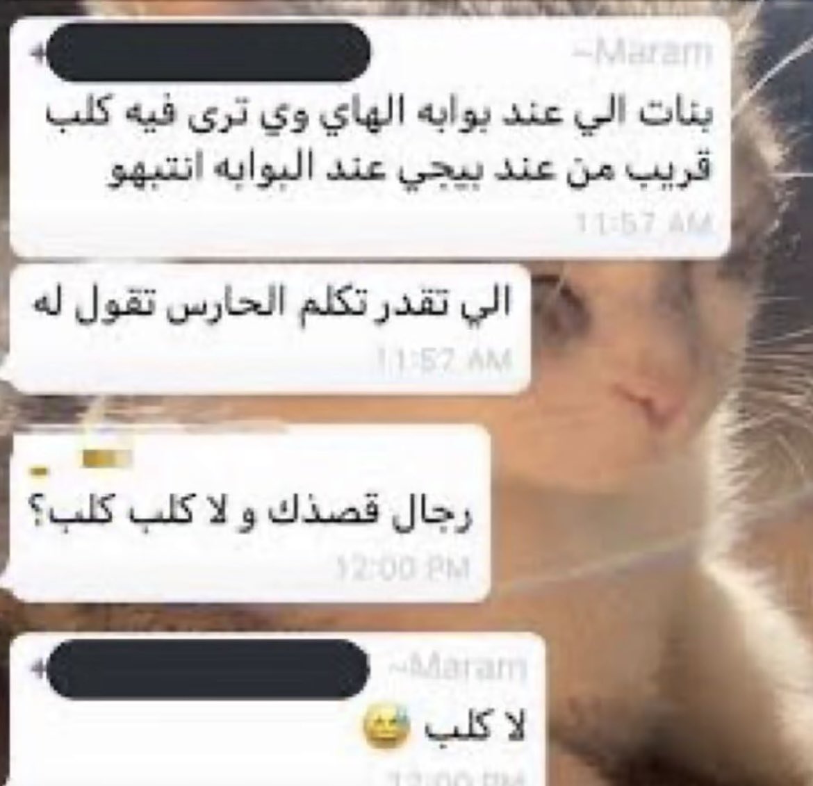 JohnSmithIsntAI's tweet photo. @lovenon9i هذي جزمه؟ ( مو البشري لا اقصد الشي الي عند وجهه ) https://t.co/Bee3cm9UY3
