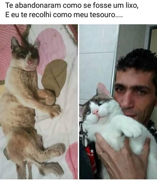 g0broel's tweet photo. @renanassna Queimem a língua santistas dgcds https://t.co/MOJiJdNMiw