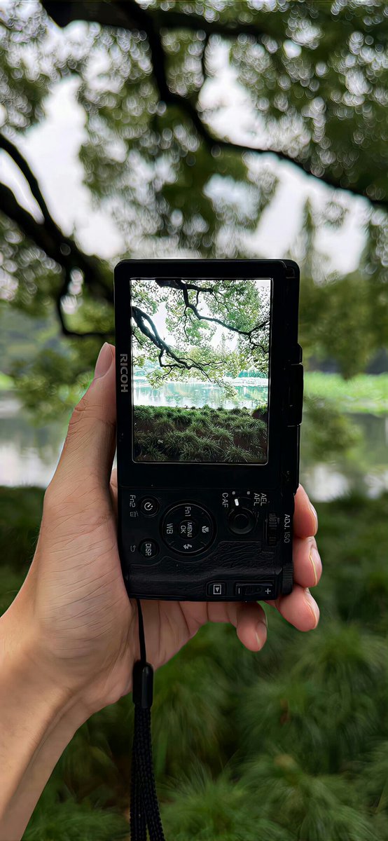 PhonapatT's tweet photo. New to photography Start with these 3 basic rules: good light, steady hands, and patience. You’ll capture great shots in no time!， https://t.co/eLQUjUIm71