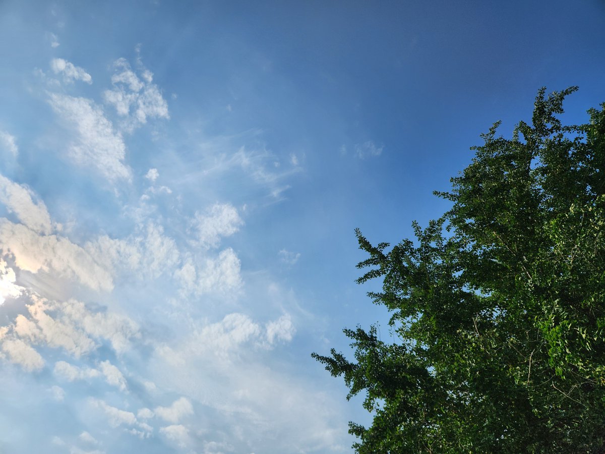 hunterblakink's tweet photo. たとえ離れた場所にいても、

顔を上げさえすれば、

私たちは同じ星空を見つめている。 https://t.co/mdA6ADkceT