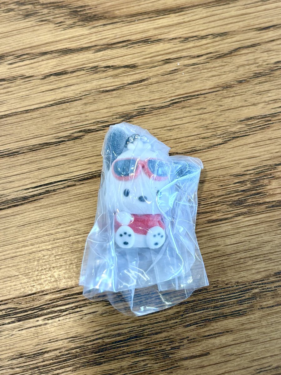 _tokenaimahou's tweet photo. サンリオ フロッキー マスコット フロッキーマスコット スイング ガチャ 交換

【譲】ポチャッコ
【求】マイメロ

郵送希望
お気軽にお声がけください。 https://t.co/1godAFhb36
