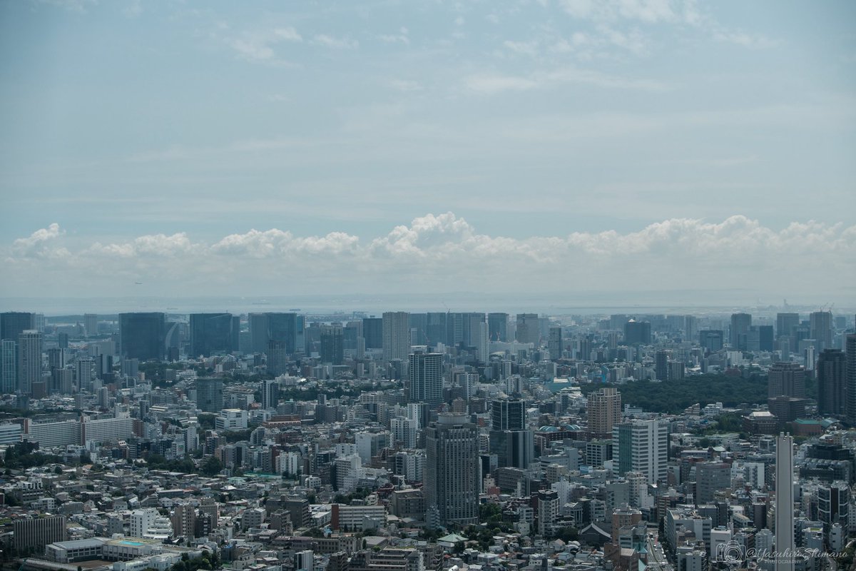 YasuhiroShimano's tweet photo. 渋谷スカイ(渋谷スクランブルスクエア展望台)より

房総半島上空に湧く入道雲

東は外海、西は内海に挟まれた半島だからか
陸地を覆うように南北に長い入道雲が湧くのを夏に見る
先の豪雨を思い出し、気にして見た

#天気の図鑑 https://t.co/JrhBgTWtsJ