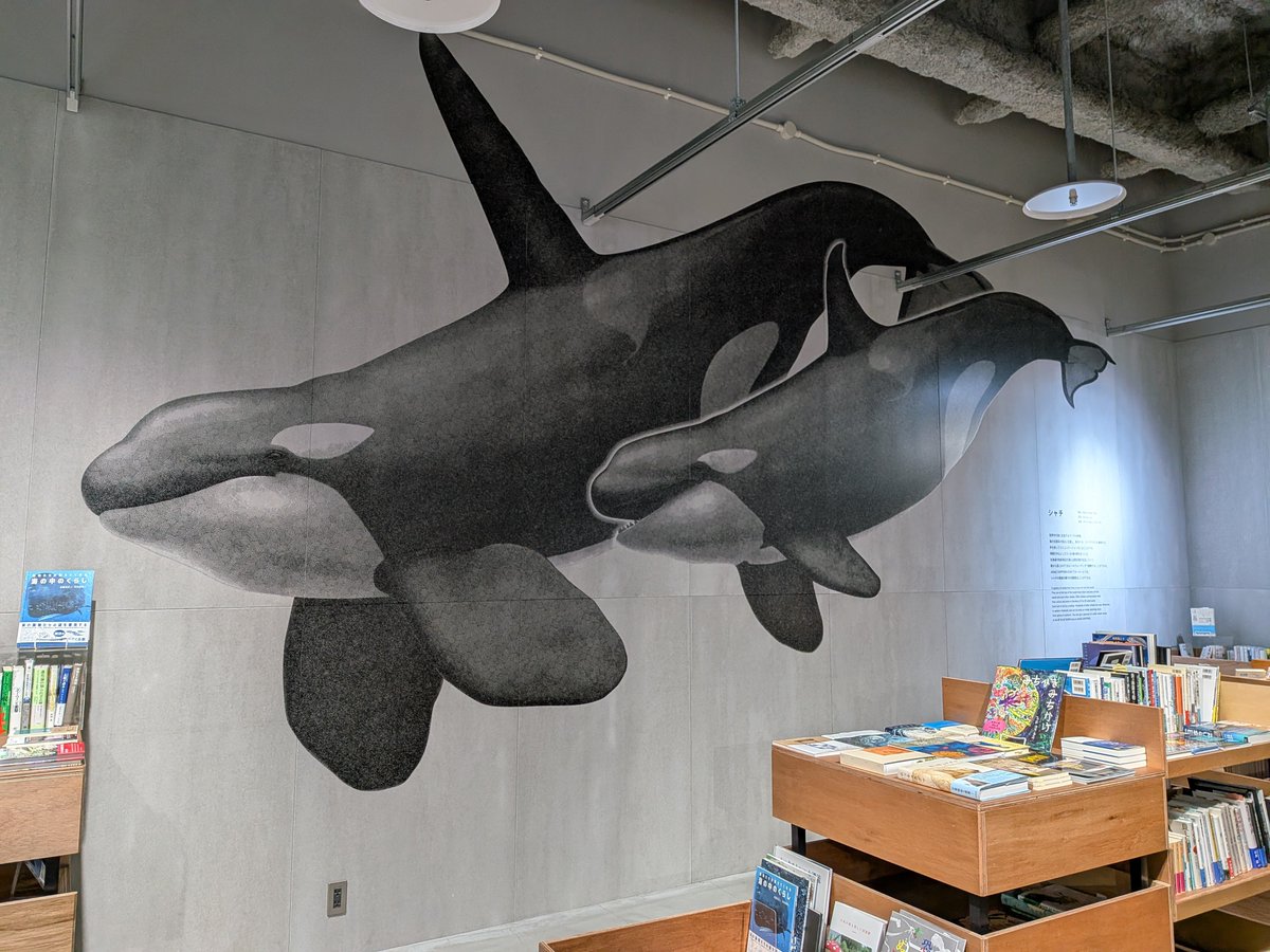 mamebontan's tweet photo. オープン以来の水族館とビアガ🍻 https://t.co/VGlvF2hXMg