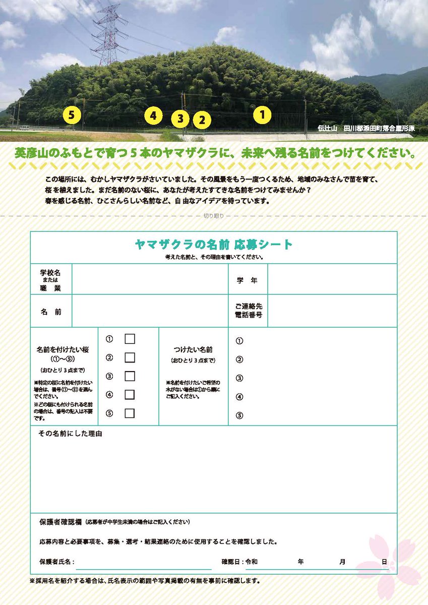 yumeidea's tweet photo. 英彦山のふもとで育つ5本のヤマザクラに、未来へ残る名前をつけてみませんか？ 
 
✅小学生歓迎 
✅一般の方も応募可能
✅最優秀賞：図書券3,000円分＋表彰状
✅優秀賞：図書券500円分  

応募締切：令和8年9月25日（金）

詳しくはチラシのQRコードまたはリプライ記載の建コン協会HPをご確認ください https://t.co/smNI64oSpO