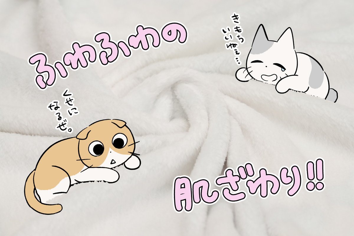 CF_Creation's tweet photo. 【😼クラファン開催中😼】

ゆっくり休むのも大事だよ？
しかるねこクッションブランケット化プロジェクト！

目標金額を達成しているので
ご支援すれば必ず商品をゲットできます💪
クラファン期間は9月2日(水)23:59まで📢
ぜひお見逃しなく👀

▼詳細はこちら
https://t.co/mngAzIaUeQ

@shikaruneko https://t.co/qS9rpYGC5W