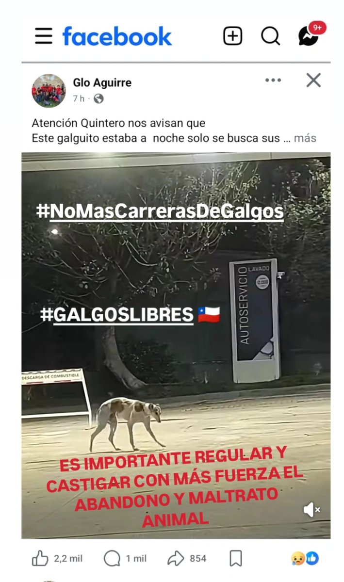 Dpm_Chile2020 tweet picture