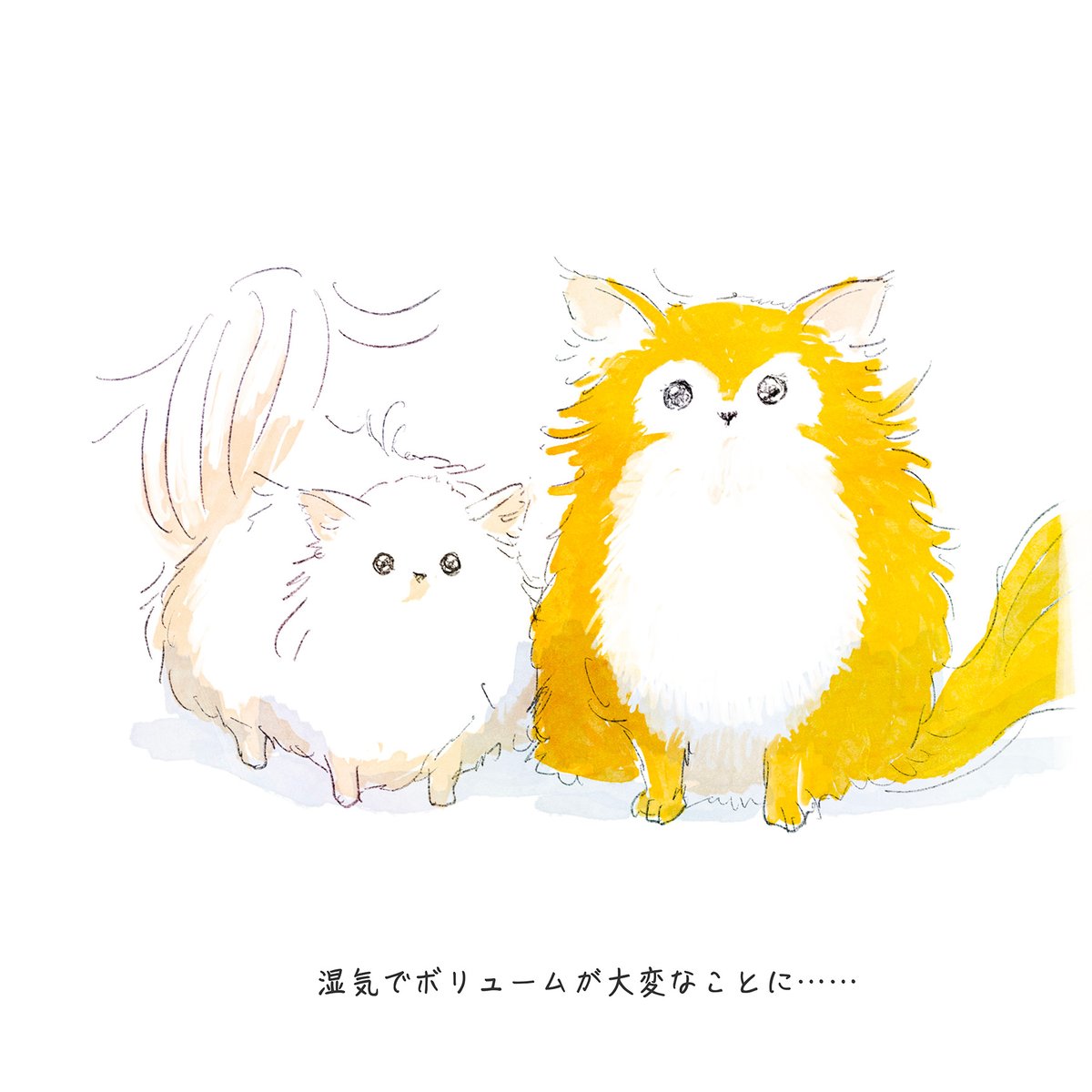 DogfamLife's tweet photo. 湿気でボリュームが大変なことに･･････

#dogfam #こめ #むぎ https://t.co/YPCxuaxFd6