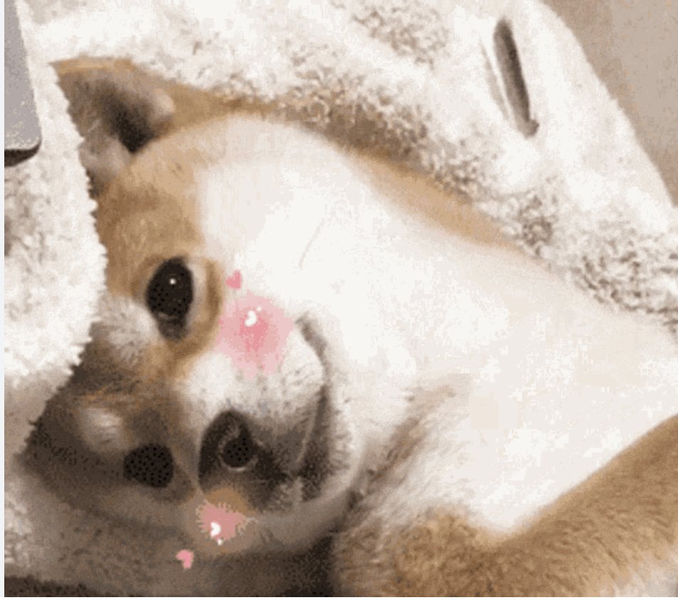 vulcsmash's tweet photo. @krillschamone don't make me blushhhh https://t.co/cyqnz4jMns