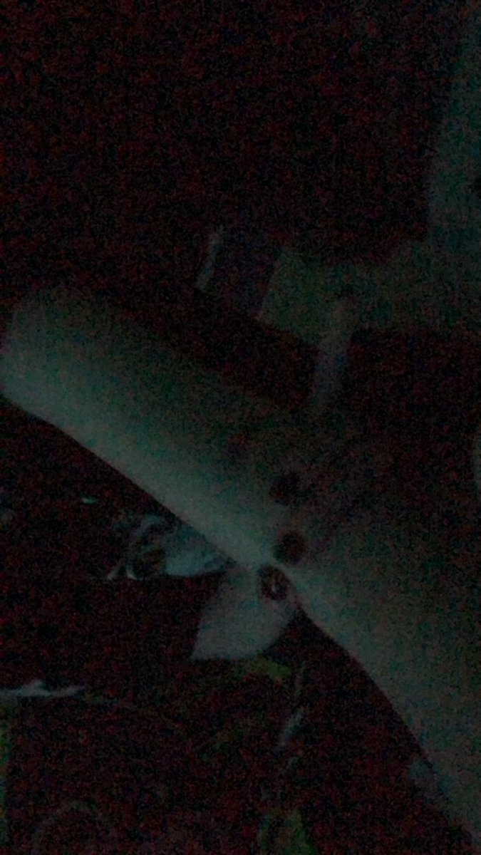 slutty_slitter2's tweet photo. fuck i really have gained aswell this is the furthest i can wrap my fingers around my upper arm now https://t.co/qhHJ4W1RA2