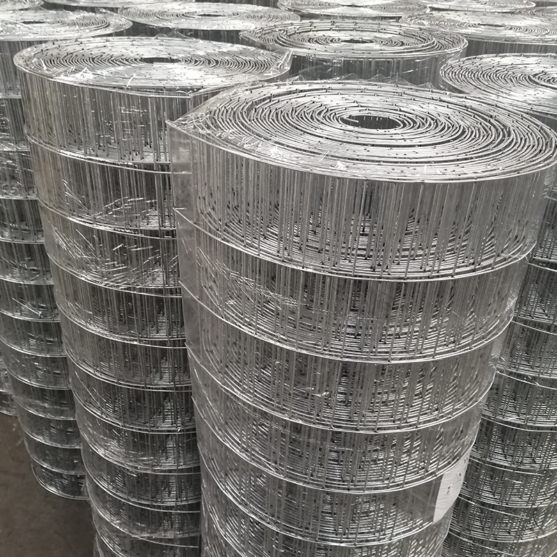 Sanqiang123's tweet photo. Welded wire mesh is produced by precisely resistance-welding horizontal and vertical metal wires at every intersection. #WeldedWireMesh #PetFence #GardenFence #AnimalEnclosure #WireMesh https://t.co/so0x19pXoW