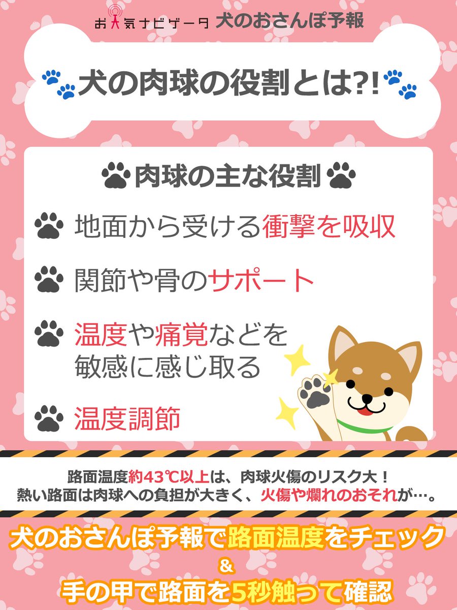 犬 肉 球 熱い