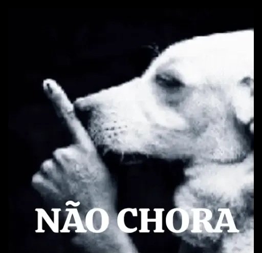 Mengoad1's tweet photo. @Dudu https://t.co/OijBtk1yqh