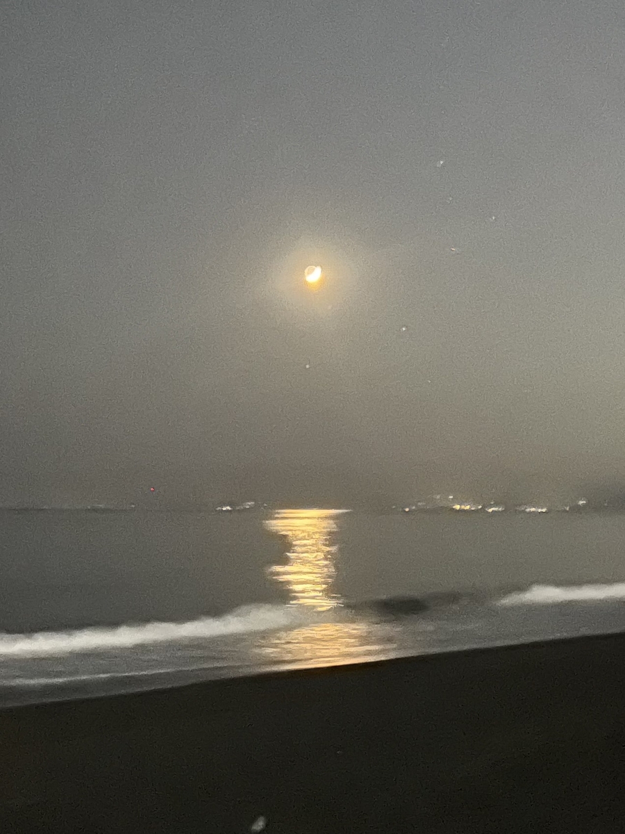 suumo_journal's tweet photo. わたしはひとまず、海の近くに住みたいなと思って、湘南に住んでみることにした――。

海の近く｜文・椎名うみ（漫画家）
https://t.co/w2GXiVHaq6 https://t.co/BUQx1VDQTf