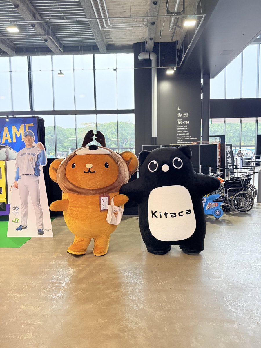kyunchan_dc's tweet photo. キュン💕

Kitacaのエゾモモンガとツーショット撮れたきゅん✨💕
とっても可愛くて癒されたキュン〜💕 https://t.co/3UnWQrcpxC
