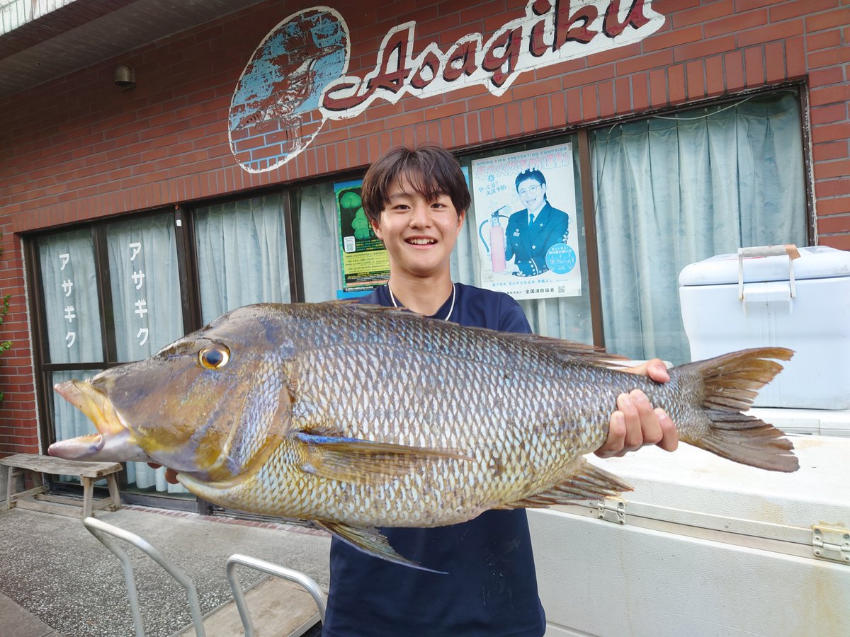 asagiku_hachijo's tweet photo. 八丈島アサギク・荒井 武士
堤防にてハマフエフキ７.５ｋｇを釣ってきました。
泳がせ用の竿とリールを渡したら、１発目で釣ってきた！！ https://t.co/paKGNFA5ze