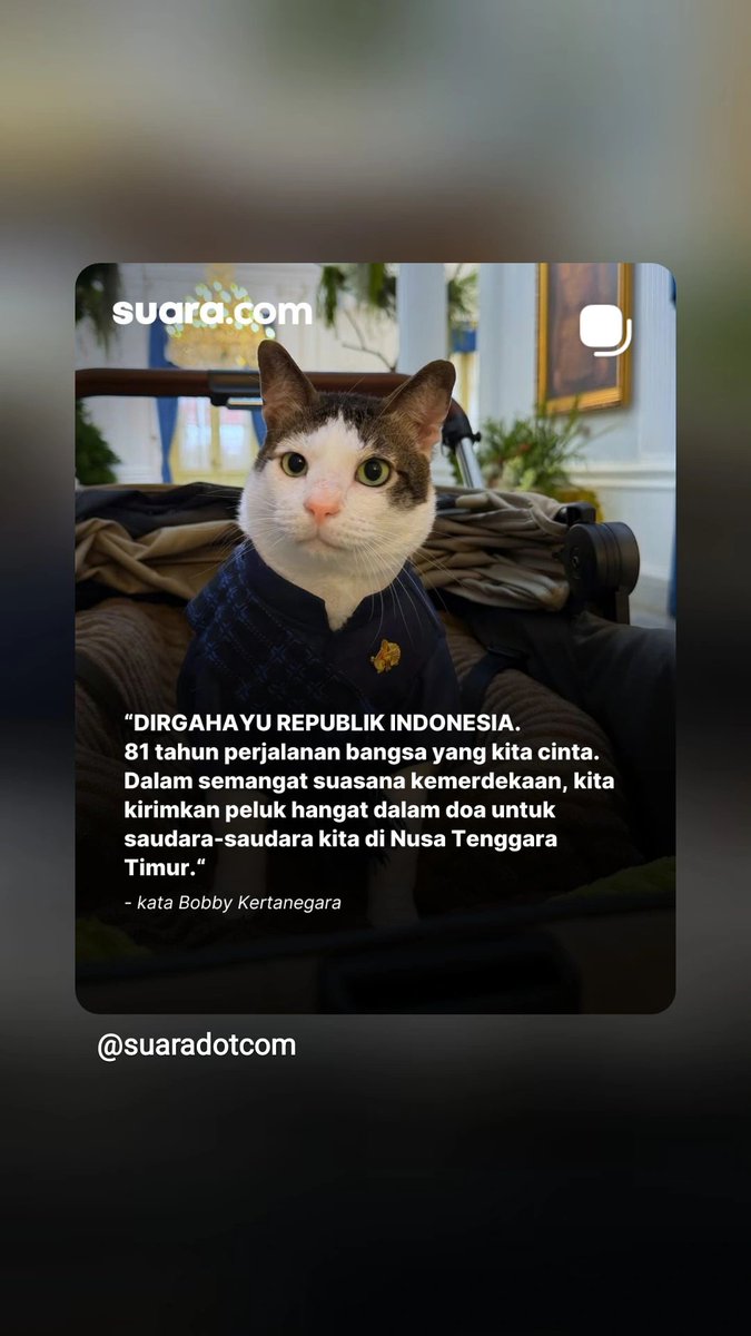 evelyndewi7's tweet photo. Cuma kucing tapi aura penguasaannya sudah setingkat kabinet 
Duduk manis di eluk-elukan 
Urusan Rakyat biar staff yg jawab 
Konoha 😪 

Masuk APBN kah 
@prabowo @setkabgoid 🤔 https://t.co/MFVxeAYBpZ