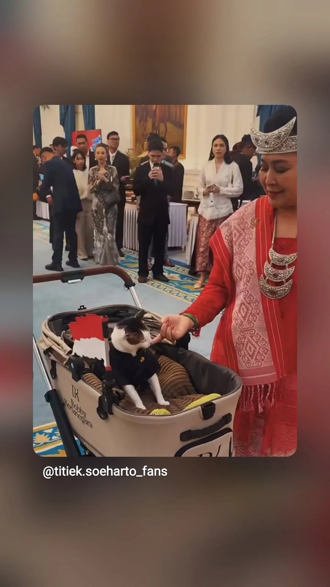 evelyndewi7's tweet photo. Cuma kucing tapi aura penguasaannya sudah setingkat kabinet 
Duduk manis di eluk-elukan 
Urusan Rakyat biar staff yg jawab 
Konoha 😪 

Masuk APBN kah 
@prabowo @setkabgoid 🤔 https://t.co/MFVxeAYBpZ