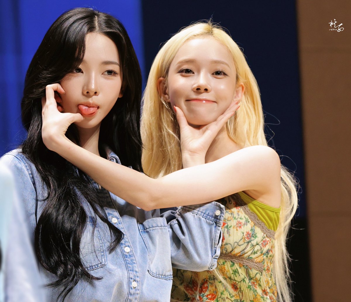 meisttokki's tweet photo. pponyo looks like minjeong but her behavior is so jimin 😭😭😭😭 https://t.co/30ZYUrs5XG