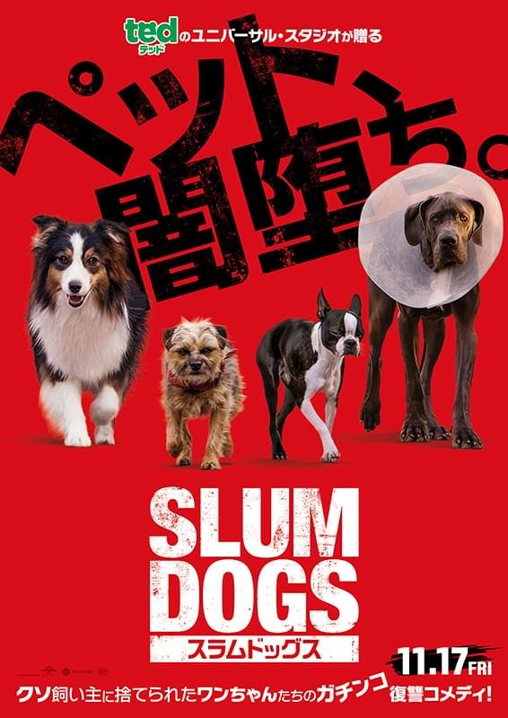 hiro123love's tweet photo. 「#スラムドッグス」を鑑賞🎬
捨てられて闇堕ちした犬が仲間と共に元飼い主のペ○スを食いちぎるという復讐を果たそうとするコメディ作品🐕️
犬が出てくるのにセリフも描写も卑猥すぎて子供やファミリー、カップルには不向きな作品で、誰に向けて作られたのかが不明すぎる作品😅
でも面白かったです👍 https://t.co/qLuwIT4TTi