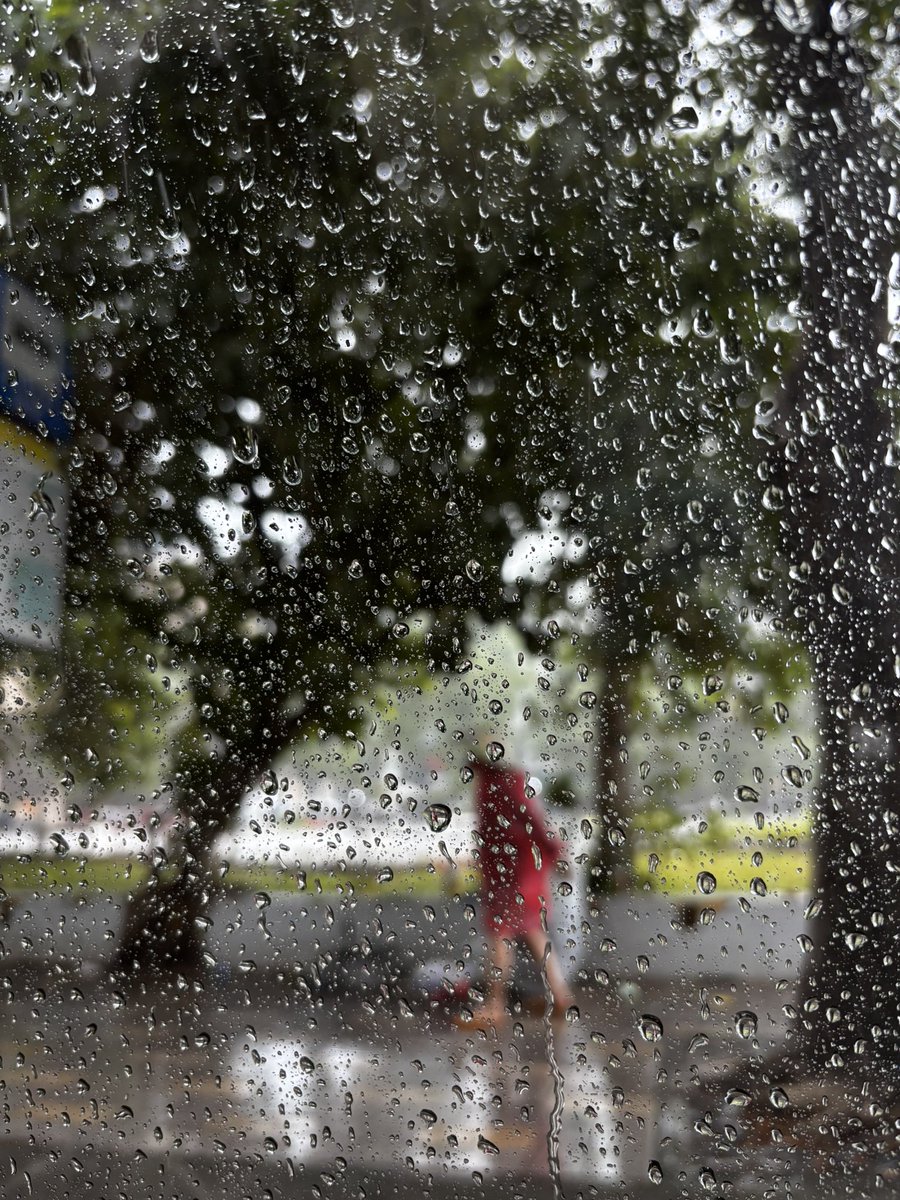 yuri8527's tweet photo. 急に雨降ってきた。ホーチミンは、昨日から雨ばかり。雨季にも濃淡があって、8,9月の雨が一番頻度が高く、雨季の終わりは激しめな雨が多めです。 https://t.co/rQYDGV4G12