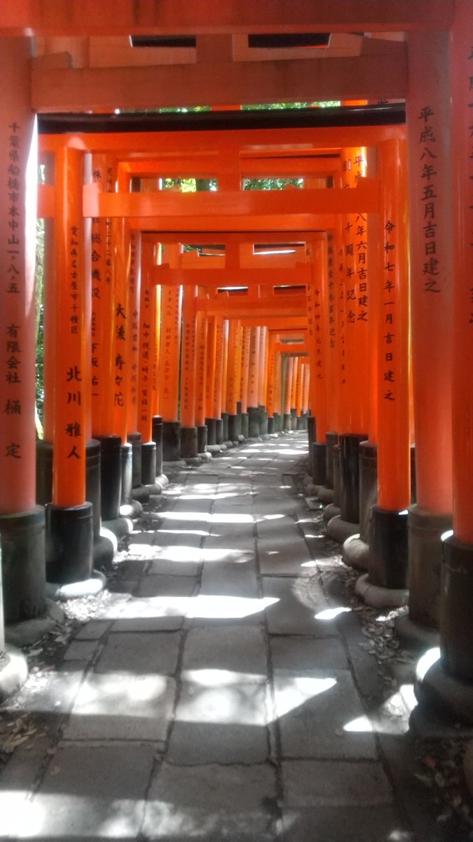 winyu8885's tweet photo. 伏見稲荷大社
人がいっぱいですけど上手くいけばこんな写真も撮れます https://t.co/4eAydr4BNr