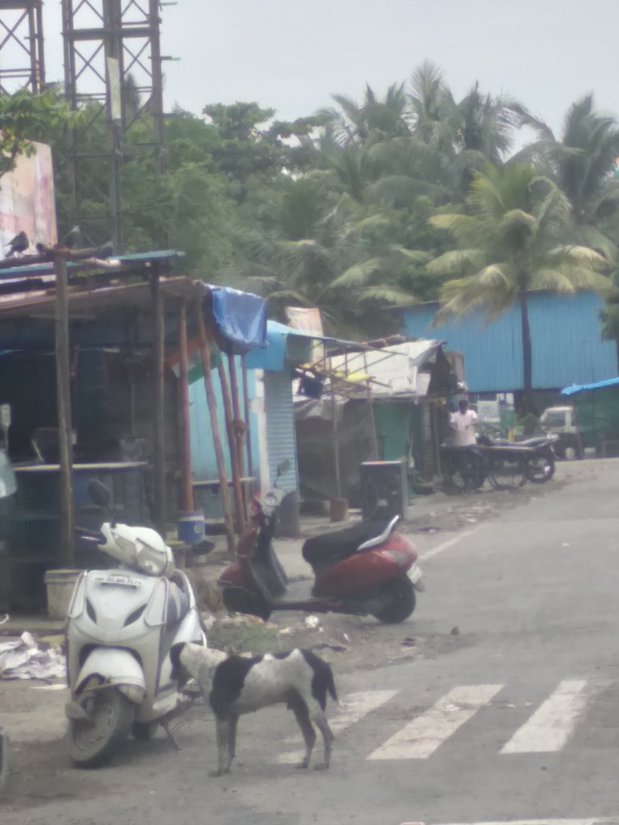 pravinraikar7's tweet photo. Reminder 1228 :
#NewUpdate
This is todays condition of footpaths from Devkrupa Chowk, sec 51 till ShivRay Chowk, Dronagiri Node, Navi Mumbai 400702
(Main Road passing between Devkrupa Chowk sec 51 till ShivRay Chowk where the road ends)
Why are authorities unable to remove encroachments permanently & keep the footpaths neat and clean !!
Where should people walk?
Who is giving permission to hawkers & developers for encroaching footpaths & roads?
#publicsafetyfirst
@Dev_Fadnavis
@CollectorRaigad
@CIDCO_Ltd
@navimumbaicv
@mariakauriam
@RajaSubramani22
@JagdeepDESAI9
#NaviMumbaiNews
#VashiTimes
#FreePressJournal