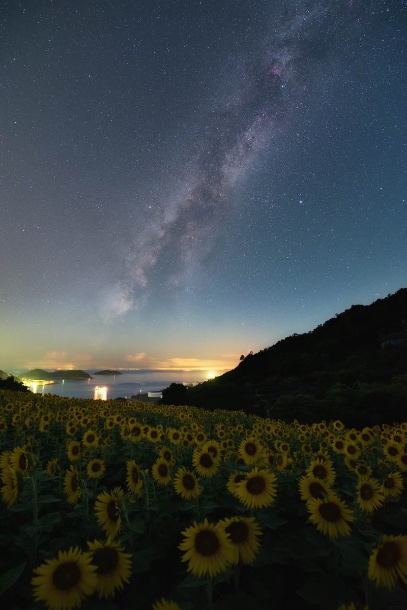 hirography_321's tweet photo. あれがデネブ、アルタイル、ベガ https://t.co/psU0E2huUw