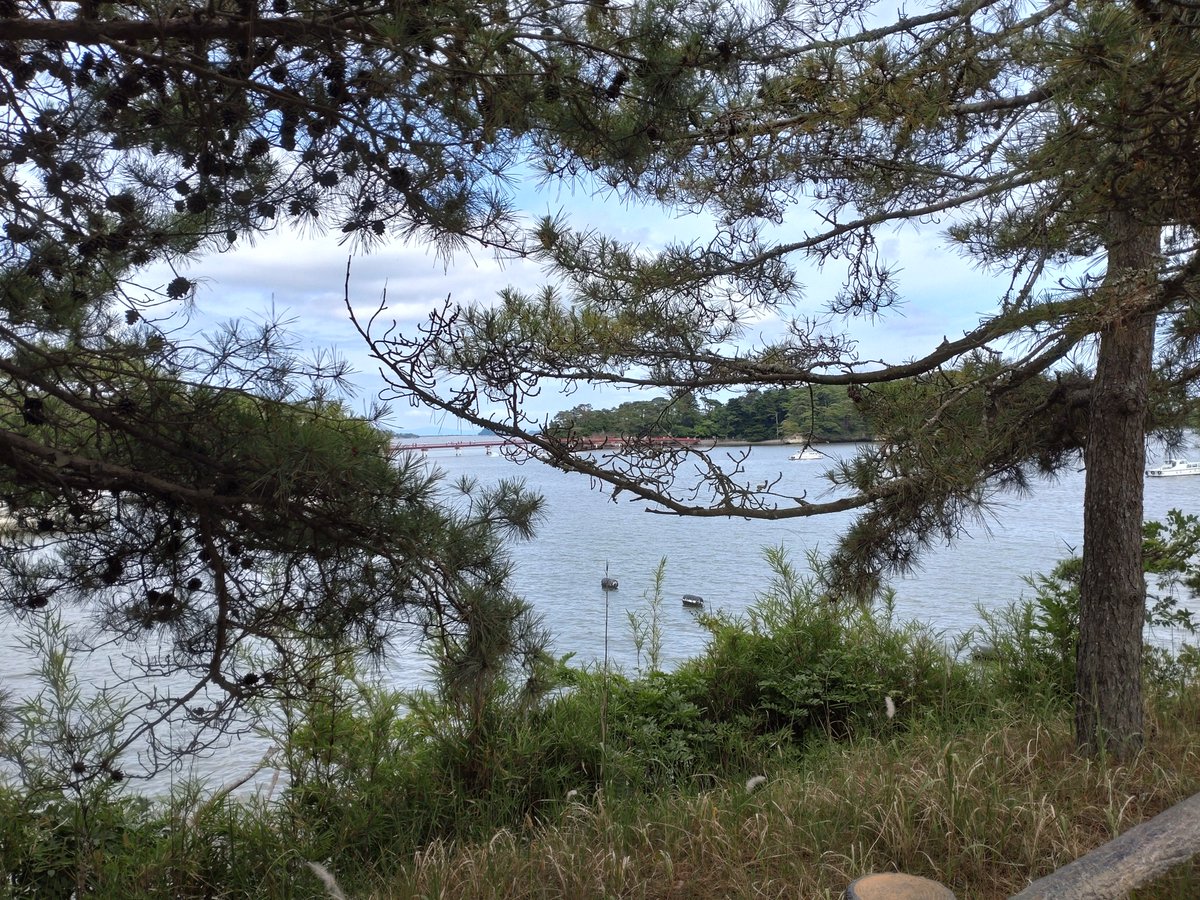 Hikari640's tweet photo. 旅の思い出｜宮城県松島町

友人と松島海岸へ行きました
瑞巌寺と瑞巌寺五大堂、周辺の店を巡りました
有名な句、「松島や　ああ松島や　松島や」は松尾芭蕉の句ではなく、田原坊という江戸時代の狂歌師（社会風刺等を含んだ短歌を詠む人）と言われています
瑞巌寺は国宝に指定されています https://t.co/orXU2gn94Z