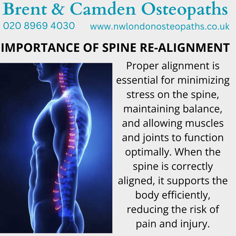 NWosteopaths's tweet photo. Your spine is the foundation of your body’s movement and health. Taking care of it preserves mobility, prevents pain, and protects your nervous system. Visit our website to book online and learn more! #osteopathy #spinalhealth #BackPainRelief #osteopath #healthcare #wellness https://t.co/jTfYmuP7cS