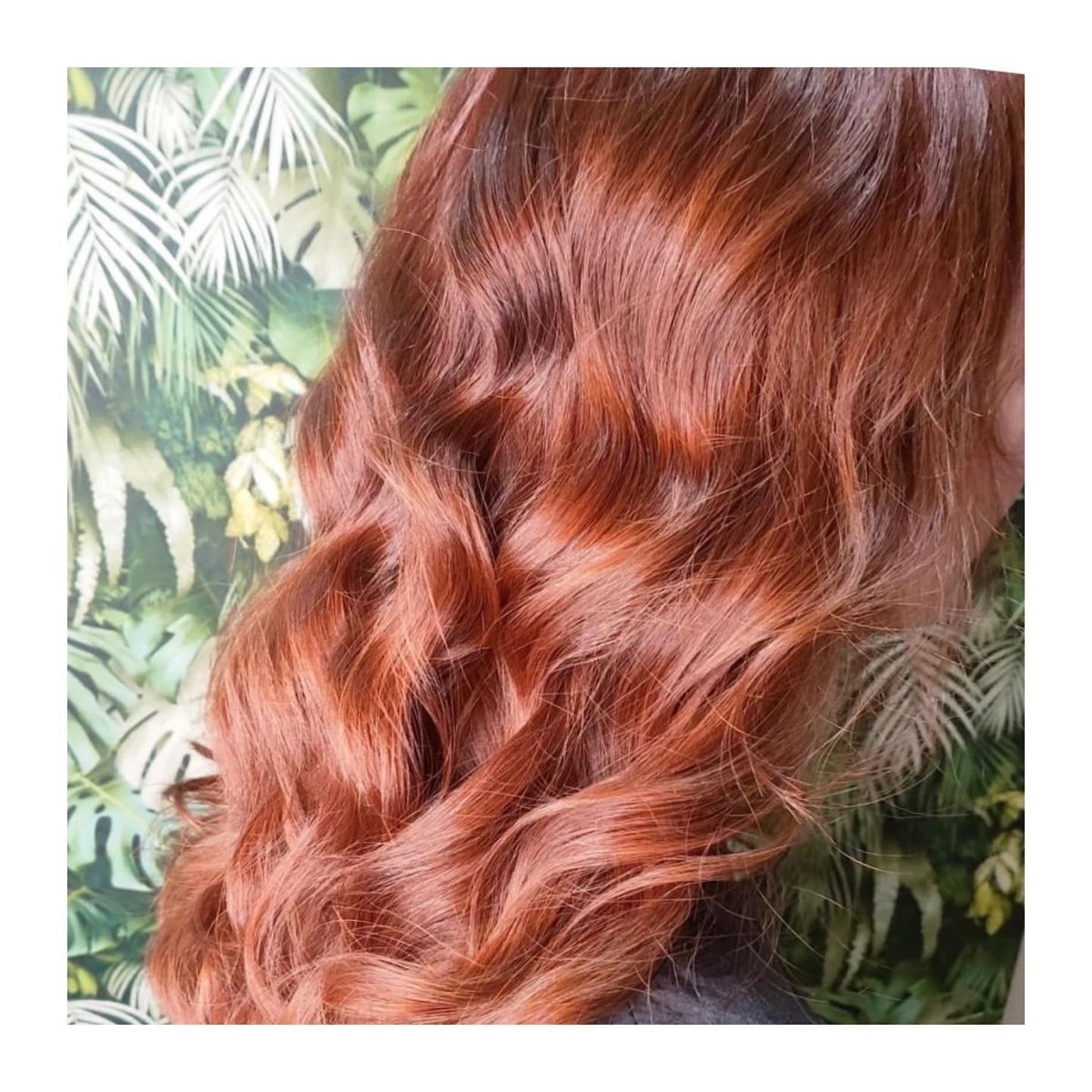ParisCabbevx4f's tweet photo. Luscious Copper Gold

A beautiful color created by Annabel at Eco Hair Salon Darlington https://t.co/KFbytdAOyP