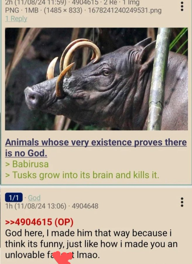 blacknredtext's tweet photo. submission from @forskinquotes https://t.co/KVw5satmUU