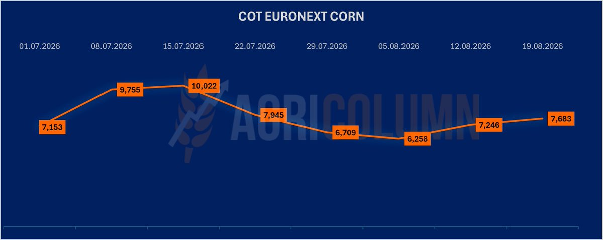 Agricolumn_EU's tweet photo. #COT #EURONEXT #Corn – Reporting period 19.08.2026 (-7 days).
Speculative funds increased their #NET #LONG exposure, with the NET position rising from 7,246 lots to 7,683 lots. This represents a weekly increase of 437 lots in the #NET #LONG position.
https://t.co/W3bMsn8Fe0 https://t.co/arIYHQjYo8