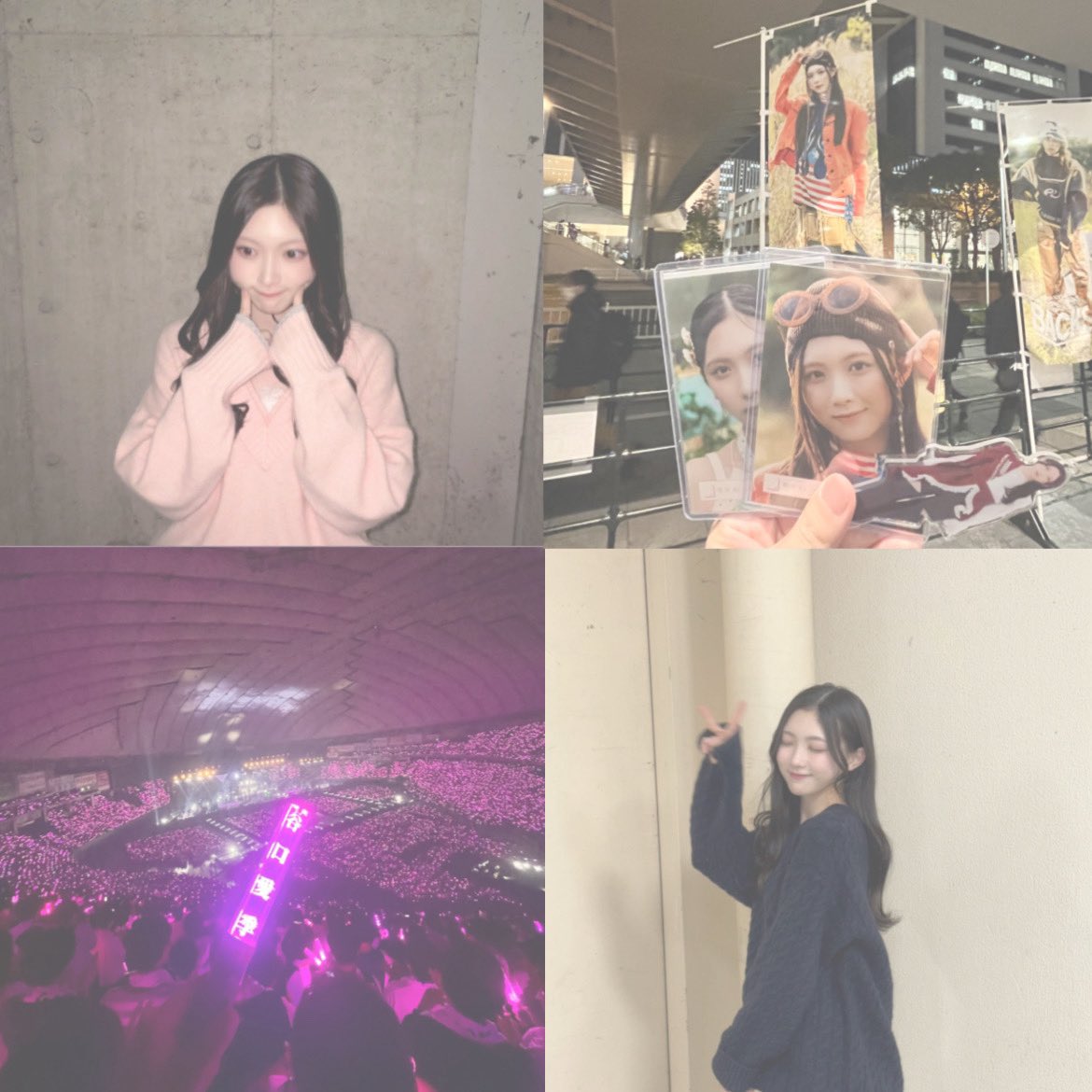 airi_tom_'s tweet photo. 🏷𓈒𓏸︎︎︎︎

　　　　　    〜谷口愛季〜

　　　    ✧︎￤03￤♂￤Kansai￤✧︎

　　　♡ ＆ ↺でお迎えにいきます^^

 #櫻坂46好きな人と繋がりたい
 #Buddiesと繋がりたい
 #いいねかRTした人で気になった人フォローする https://t.co/o2timz9uVj