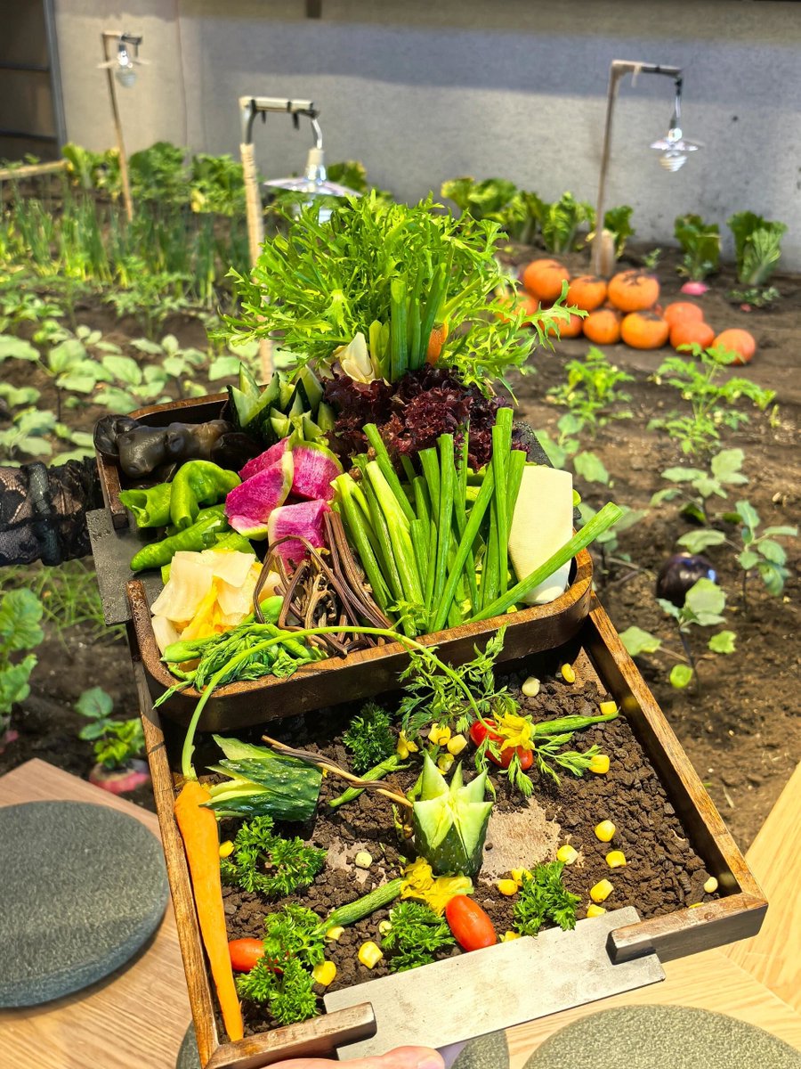 YanSanto3's tweet photo. Gave up takeout this month, started cooking with veggies from my small balcony herb garden – saving money u0026 feeling way healthier , https://t.co/BhAp8mV8D3