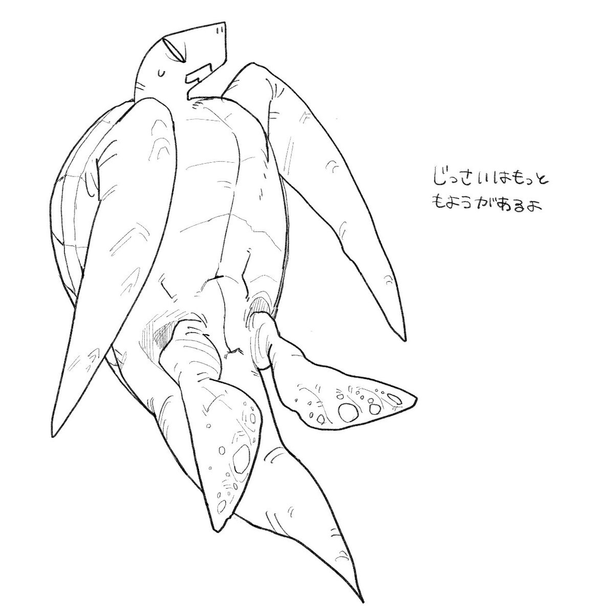 D014CAN's tweet photo. 亀 https://t.co/7MVsyu8LlB