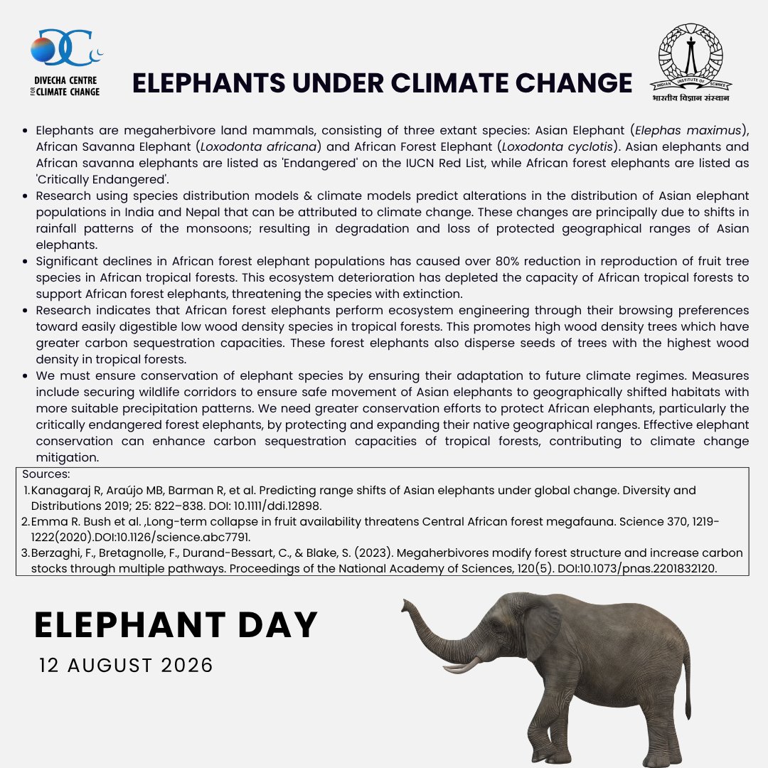 DivechaFor's tweet photo. We review the impact of climate change on elephant species.

#WorldElephantDay #ElephantConservation #AsianElephant #ClimateChange #WildlifeConservation #BiodiversityConservation #WildlifeCorridors #ClimateResilience #ConservationScience #DCCC https://t.co/O5QUgAWy1M