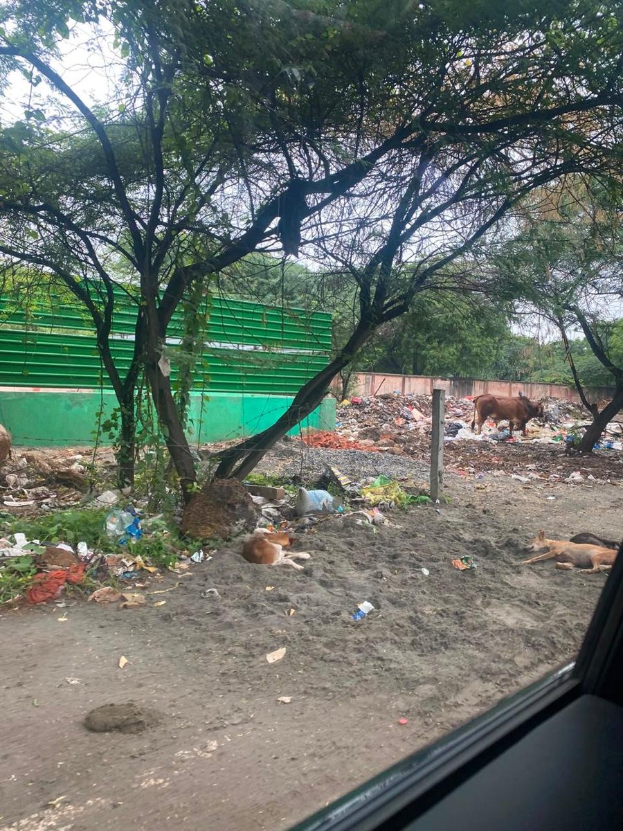 ArvindInterarch's tweet photo. Shameful state of Mandi.road which has bexome Delhis largest garbage dump between Mandi and Jaunapur South Delhi. Area totally ignored except for charging the HIGHEST PROPERTY TAXES IN INDIA 
@MCDdelhi https://t.co/btOZfIwuYK