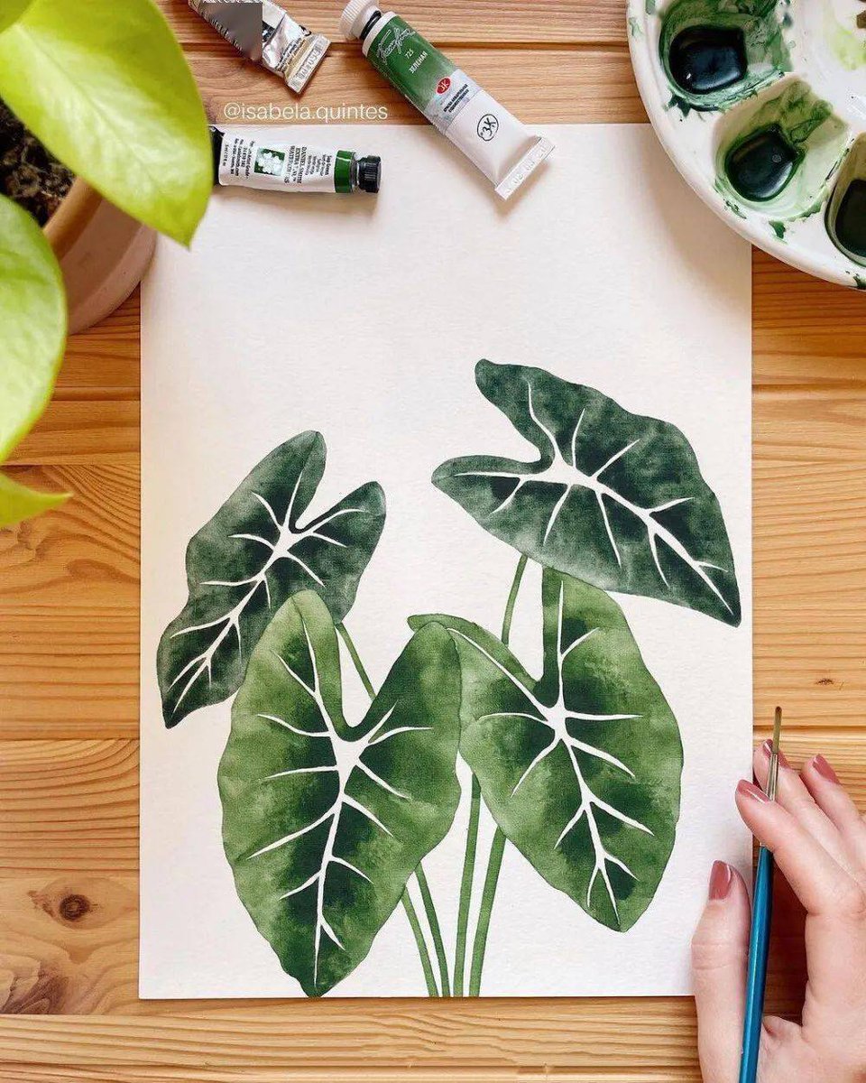 MelanieRobfmpv's tweet photo. Aprende a pintar con acuarelas en 30 minutos al día. Es fácil, relajante y crea obras hermosas. Empieza hoy! https://t.co/uEjdz5DX9y