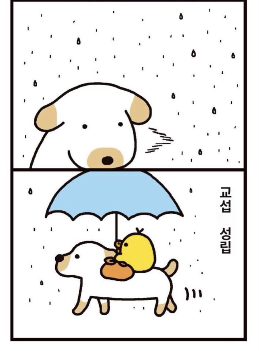 kii2ro's tweet photo. 비 온다 ☔️🐥🐕 https://t.co/MkMtoOkaqB