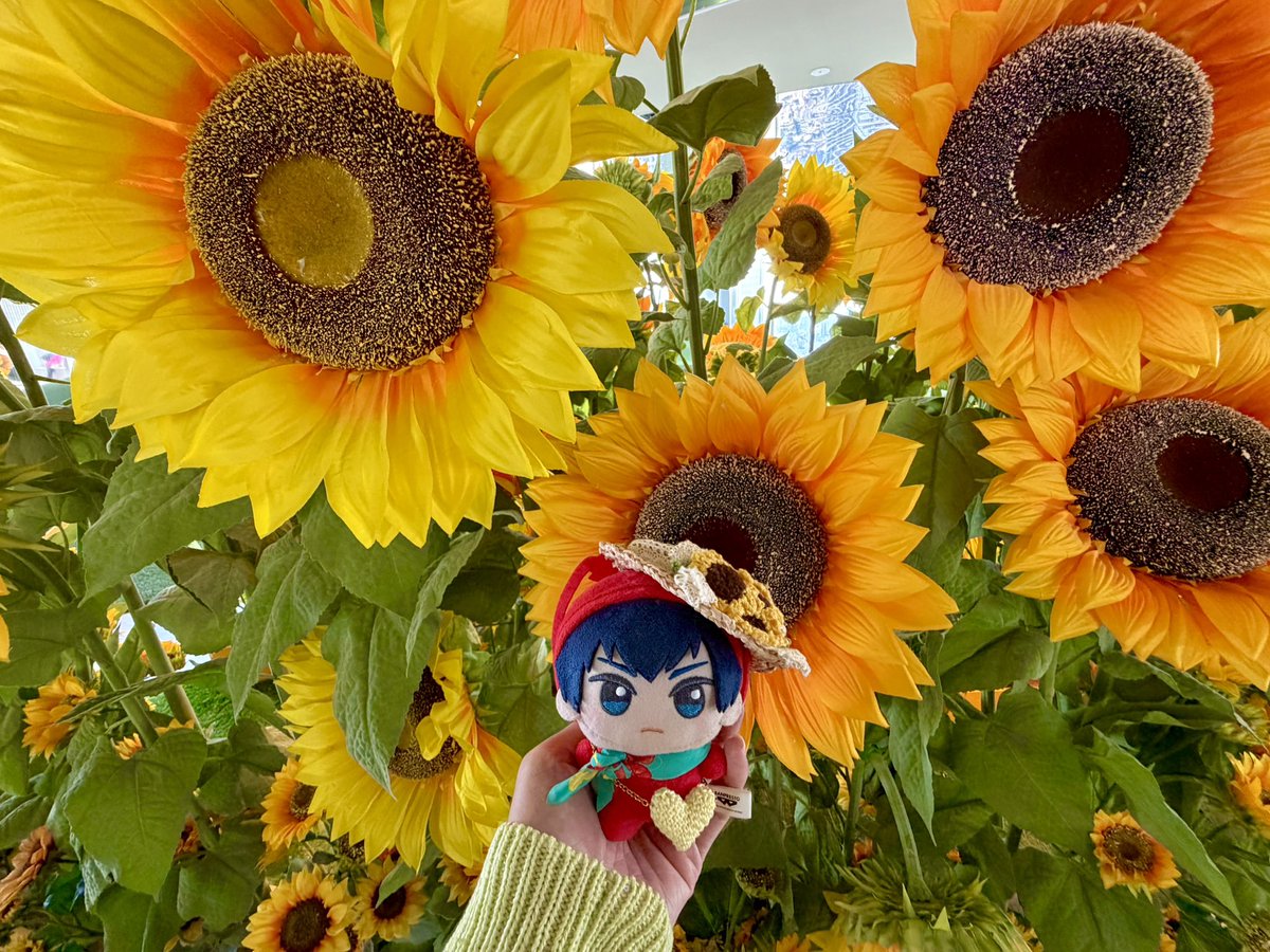 yu17_000's tweet photo. 昨日はお休みだったのでてんぼうぱーくに行ってきたよ〜🌻🪐 https://t.co/1rqGSmHHgY