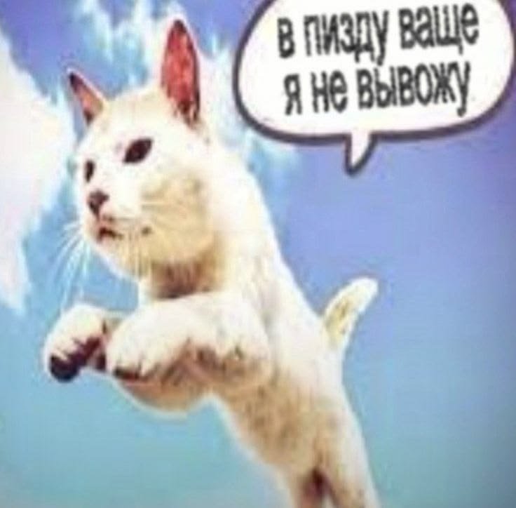 kkooflue's tweet photo. через две недели учеба https://t.co/Icd5dmDErq
