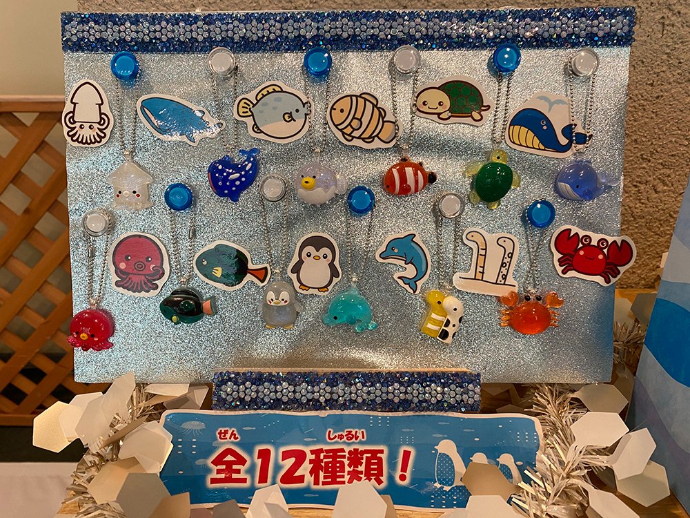 TVI_ibento's tweet photo. 【イルミネーションすいぞくえん in APPI】8月23日まで

※緊急告知※
最後の土日はお得‼️

①各日先着30組様にチャームがあたるガチャガチャメダル１枚プレゼント🎁

②ヘラクレスオオカブトの幼虫を抽選で各日２匹プレゼント🪲
12：00までに入場券１枚購入で１回抽選

https://t.co/YXNpWMD0R5 https://t.co/lUar3J6Z5j