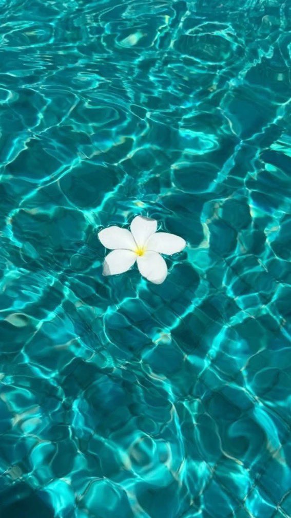 _Naturaee's tweet photo. Ocean therapy https://t.co/sM3MUN0TtT