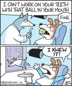 Georgemummysboy's tweet photo. 🤣😂🤣, 🐶 https://t.co/HmPQbyn03w