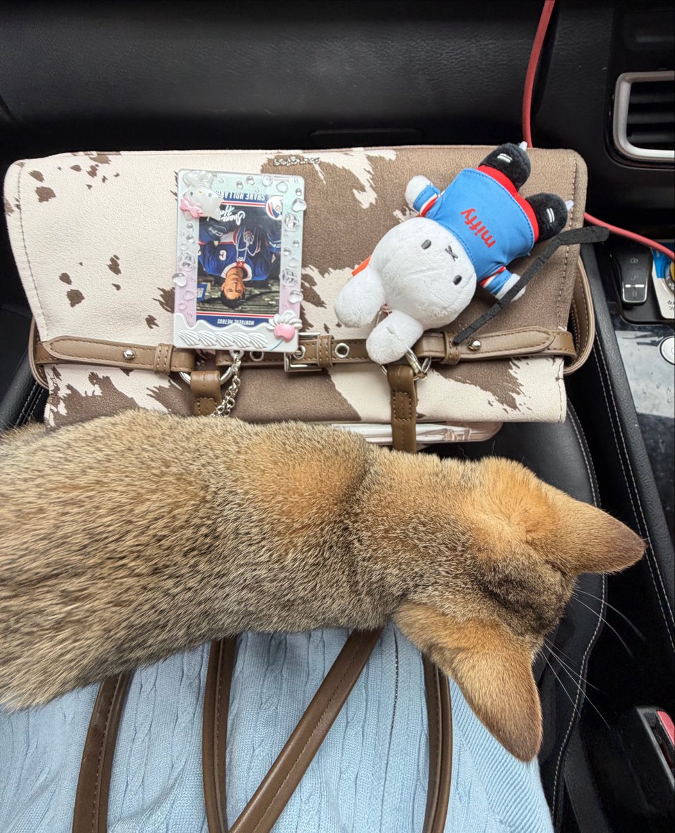 sundaymo0ning's tweet photo. กดไลน์แมน เจอน้องมาช่วยพ่อทำงาน🥺🤏🏻
เอาไปเลยห้าดาว ㅠㅠ เด่กจิ๋วฮีลใจมั่ก https://t.co/sK6Km9ZNyC
